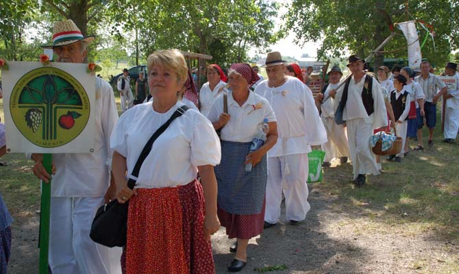 Hagyományos Aratás képek 2017. június 24. Szenttamás